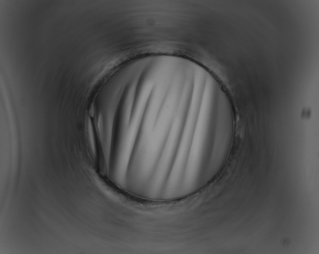 X0000091360013200708311514
