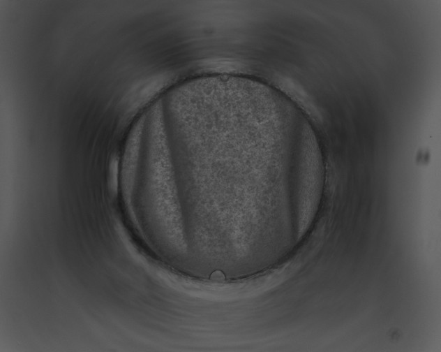 X0000091360014200708311514