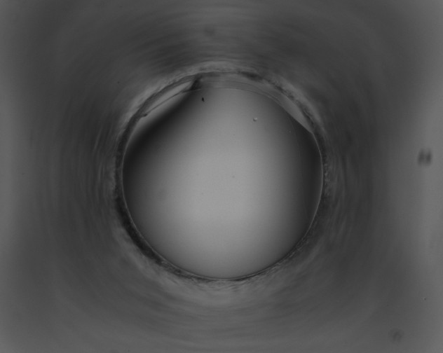 X0000091360015200708311514
