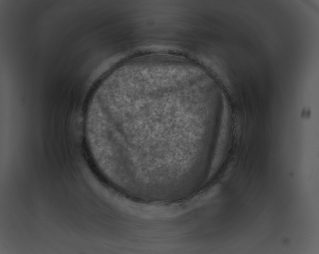 X0000091360016200708311514