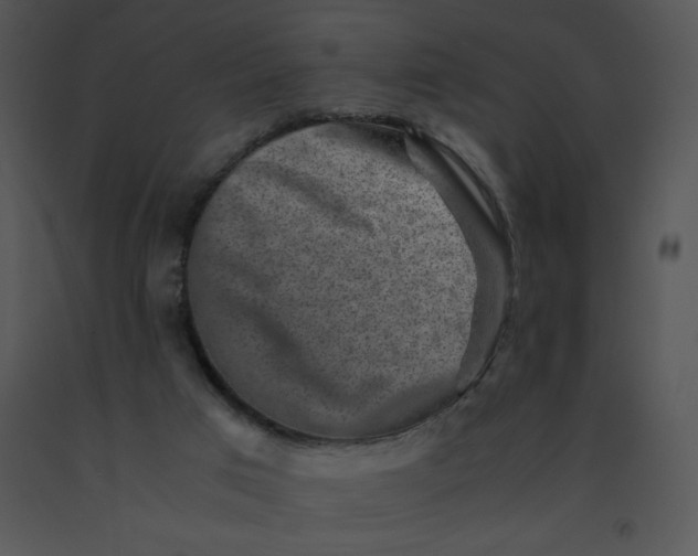 X0000091360017200708311514