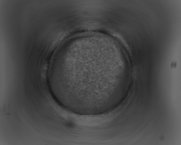 X0000091360018200708311514