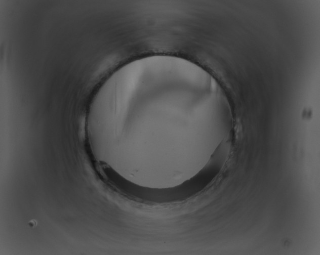 X0000091360019200708311514