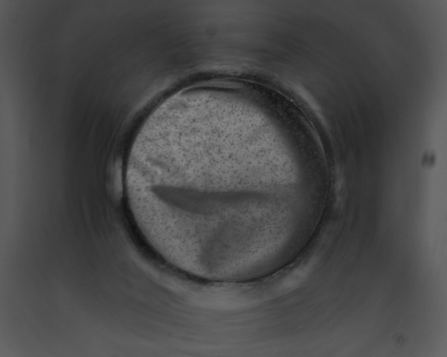 X0000091360020200708311514
