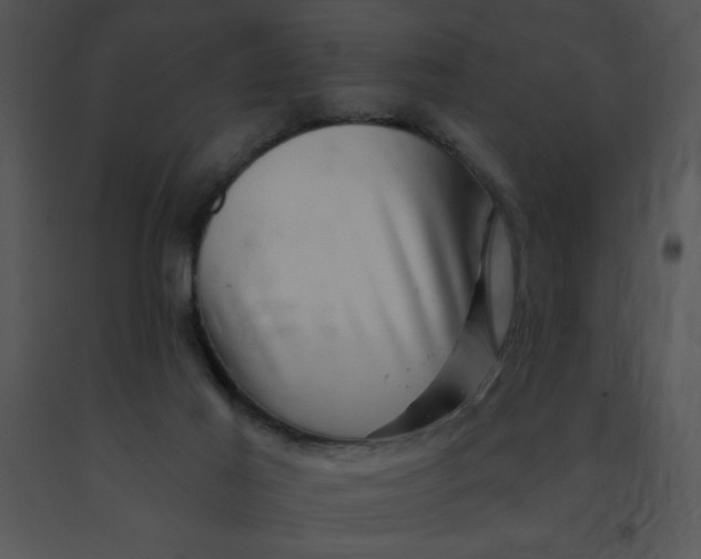 X0000091360021200708311514