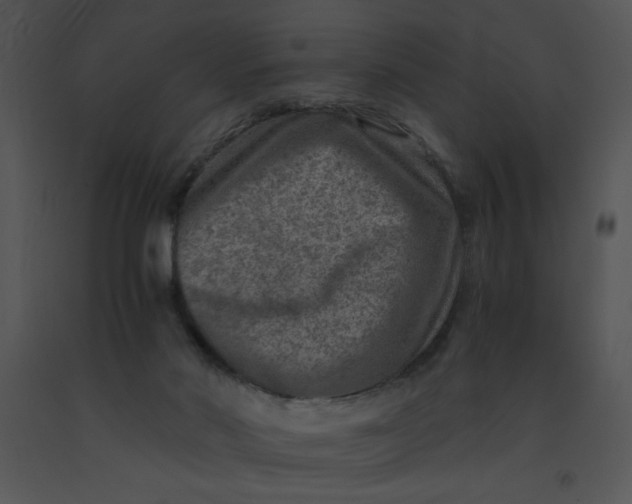 X0000091360022200708311514