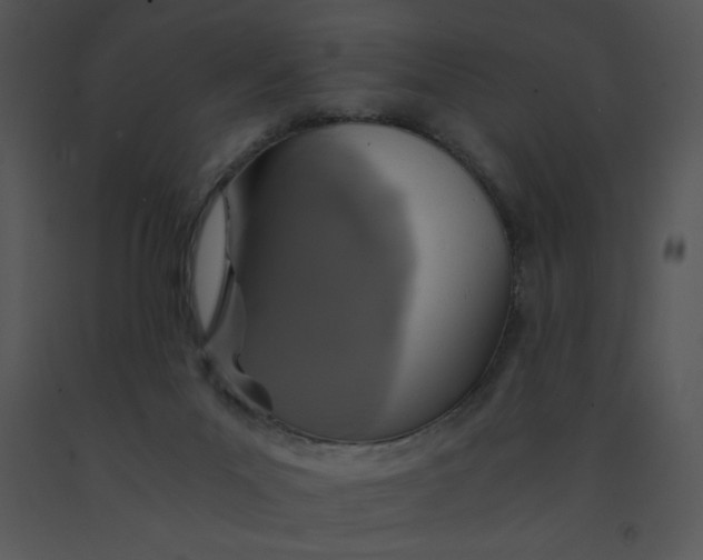 X0000091360023200708311514
