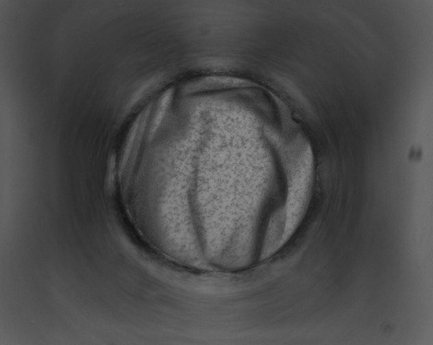 X0000091360024200708311514