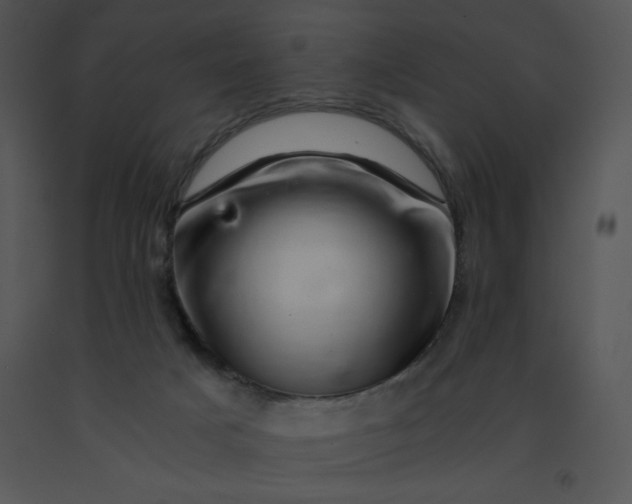 X0000091360025200708311514