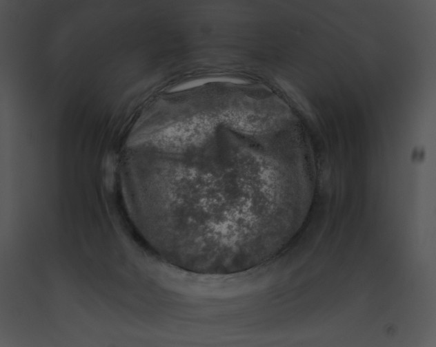 X0000091360026200708311514