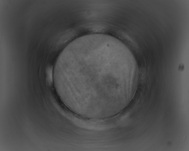 X0000091360028200708311514