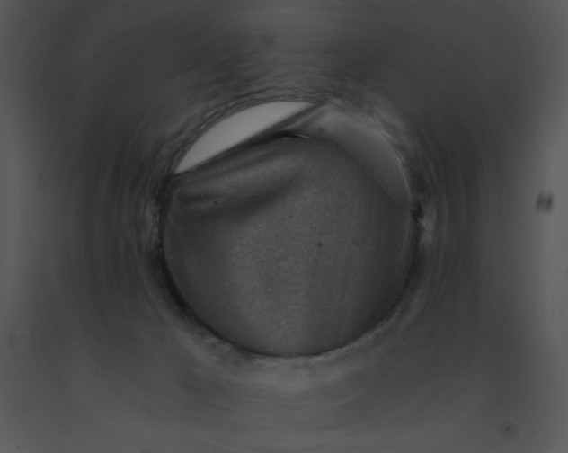 X0000091360029200708311514