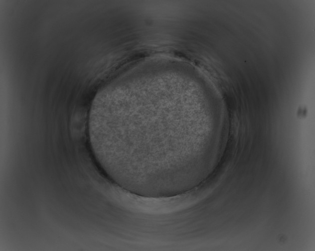 X0000091360030200708311514