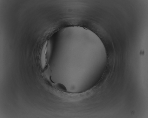X0000091360031200708311514