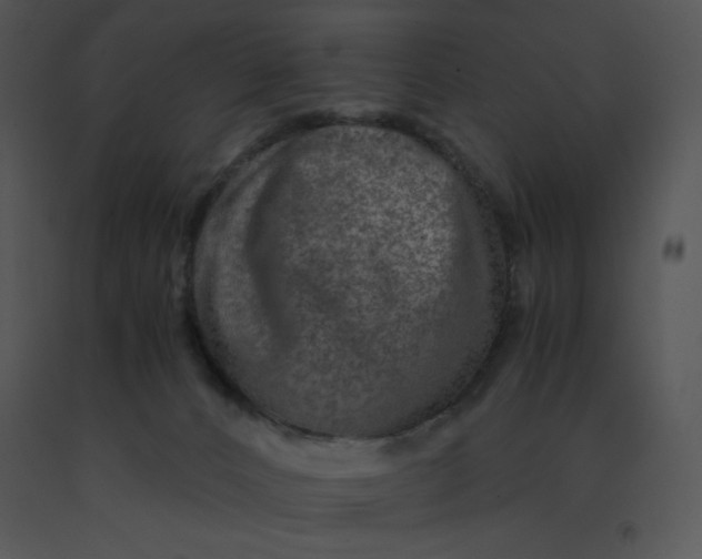 X0000091360032200708311514