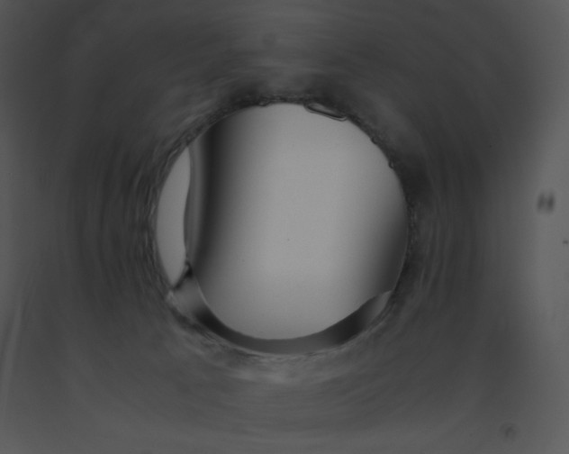 X0000091360033200708311514