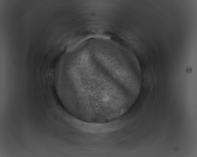 X0000091360034200708311514