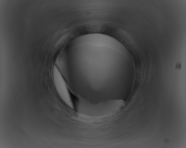 X0000091360035200708311514