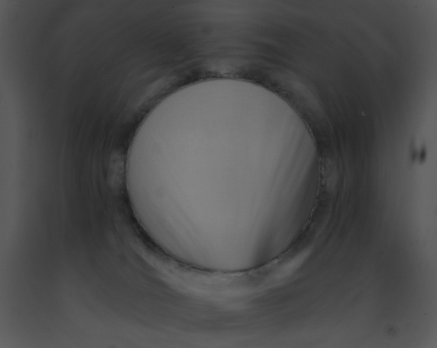X0000091360036200708311514