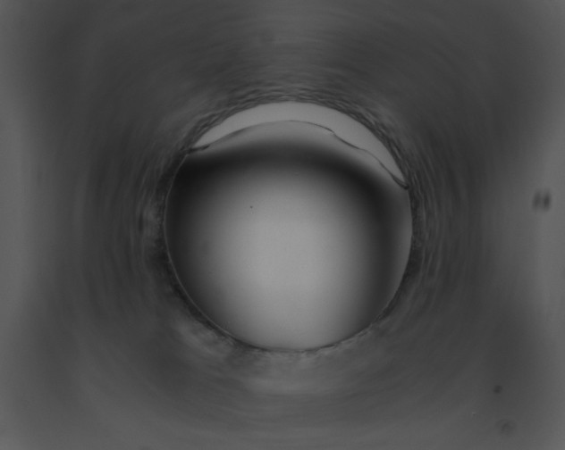 X0000091360037200708311514
