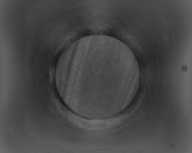 X0000091360038200708311514