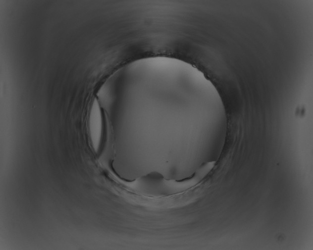 X0000091360039200708311514