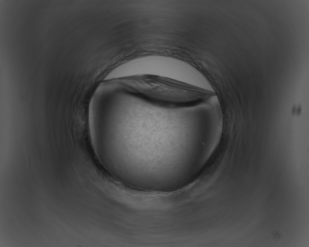 X0000091360040200708311514