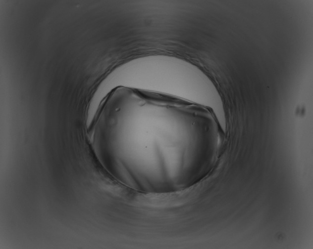 X0000091360041200708311514