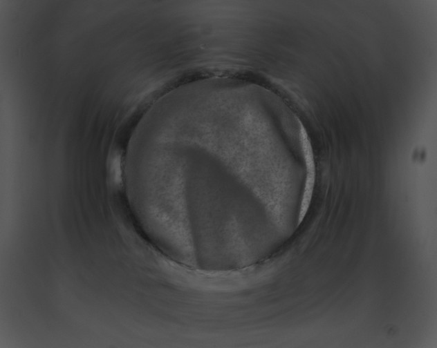 X0000091360042200708311514