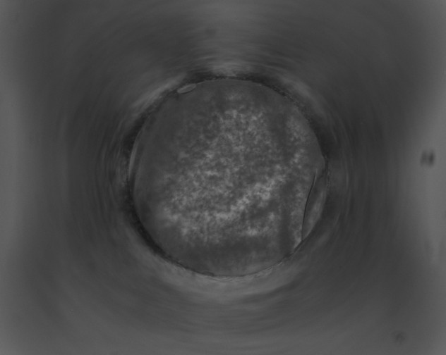 X0000091360043200708311514