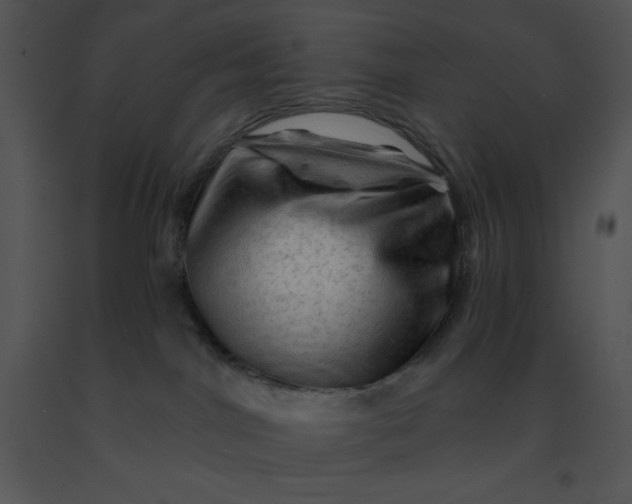 X0000091360044200708311514