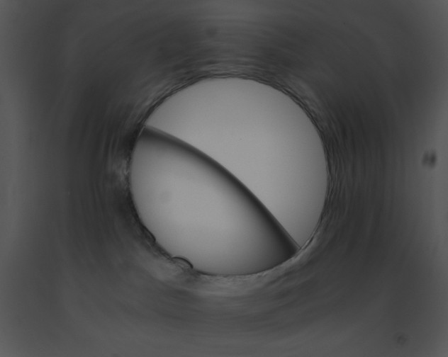 X0000091360045200708311514