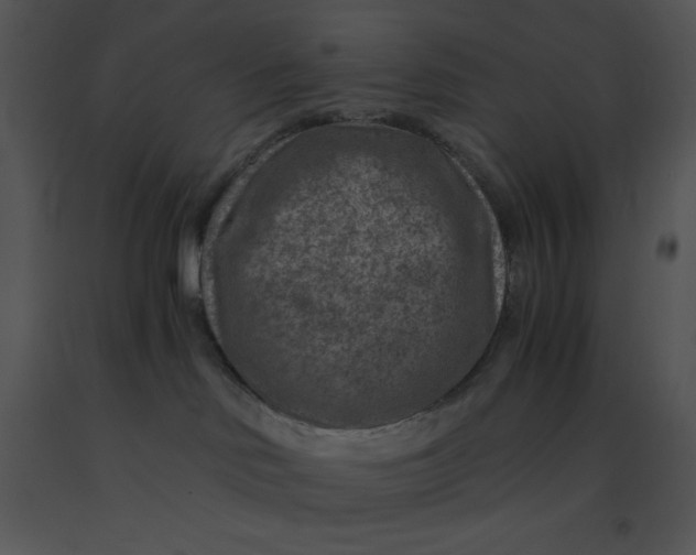 X0000091360046200708311514