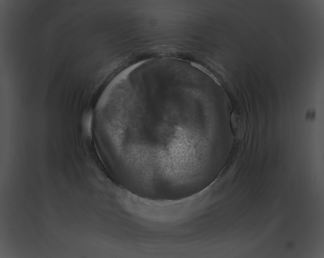 X0000091360047200708311514