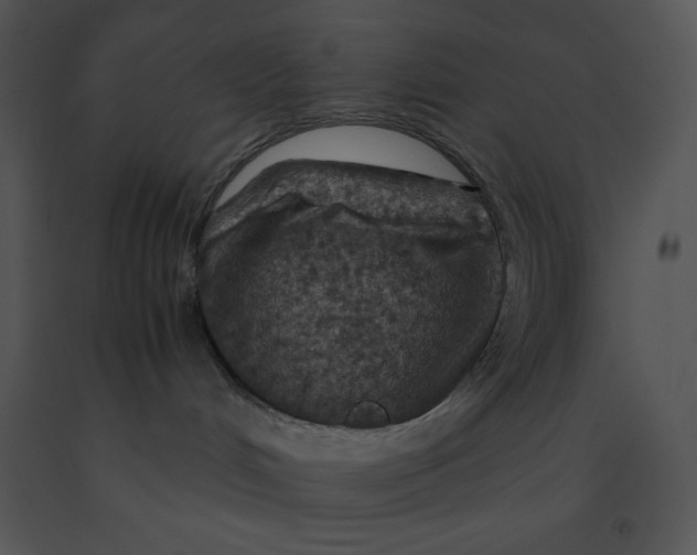 X0000091360048200708311514