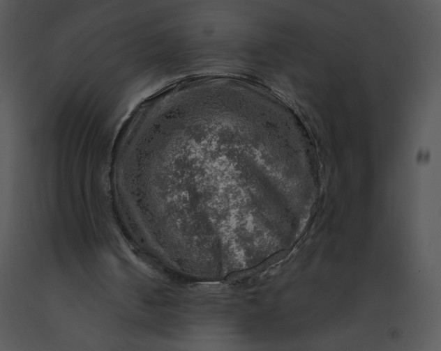 X0000091360050200708311513