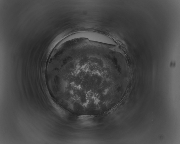 X0000091360051200708311513