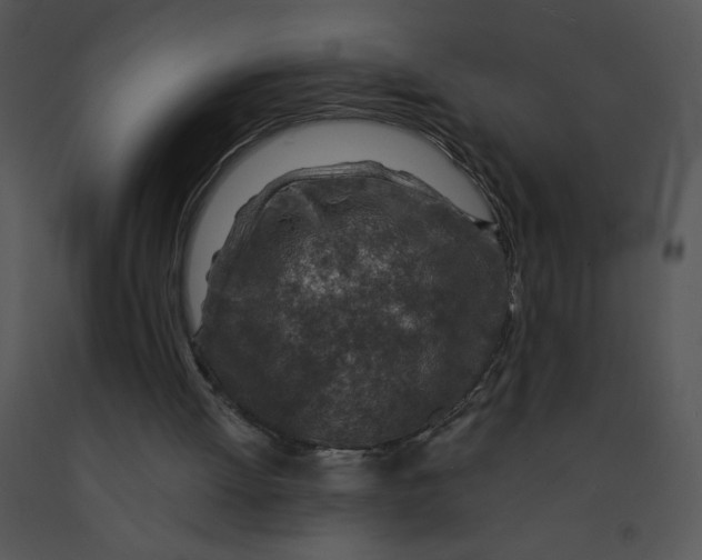 X0000091360052200708311513
