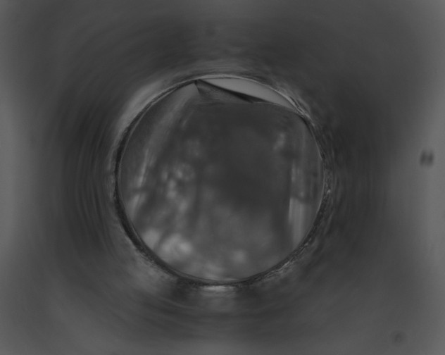 X0000091360053200708311513