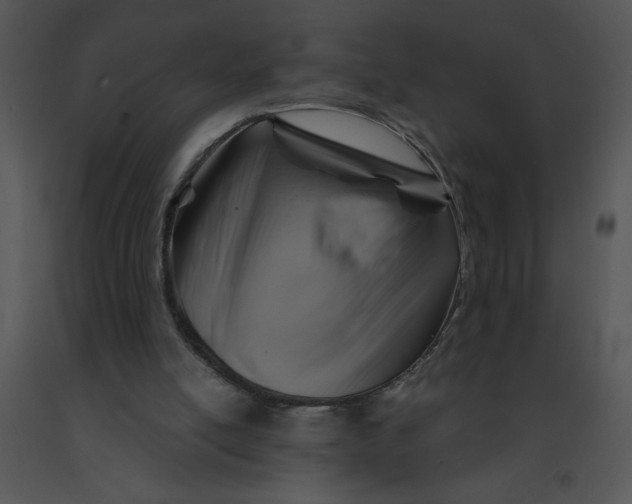 X0000091360054200708311513
