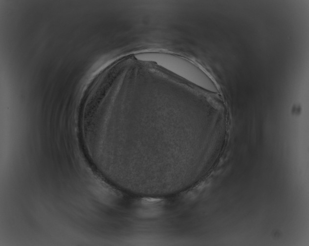 X0000091360055200708311513