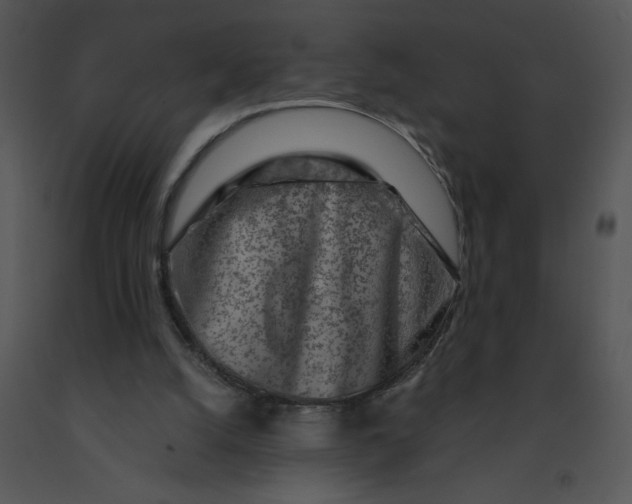 X0000091360056200708311513