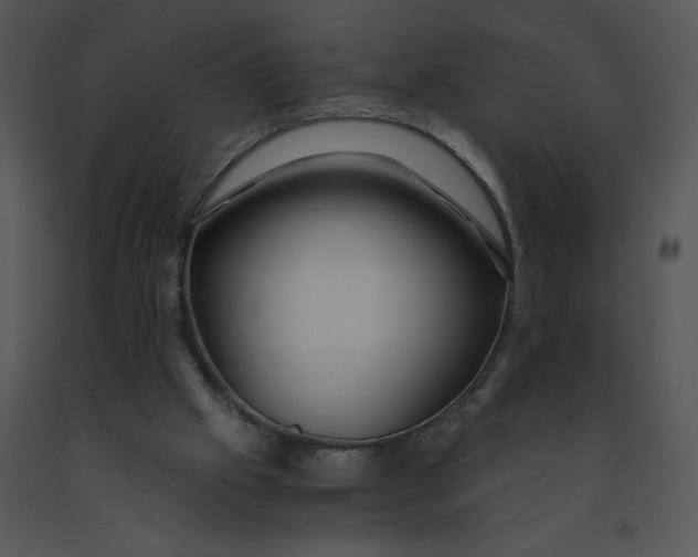 X0000091360057200708311513