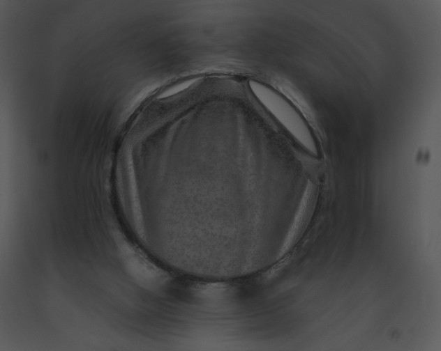 X0000091360058200708311513