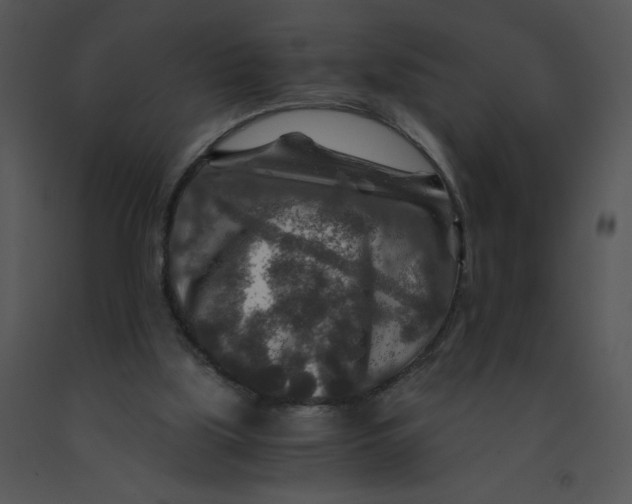 X0000091360059200708311513