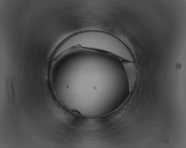 X0000091360060200708311513