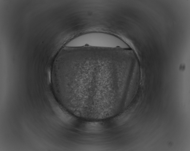 X0000091360061200708311513