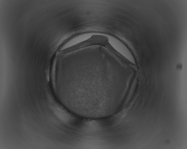 X0000091360062200708311513