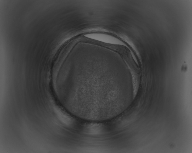 X0000091360063200708311513