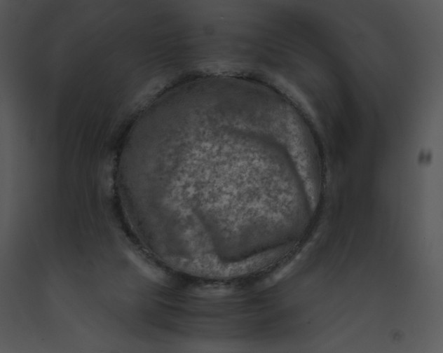 X0000091360065200708311513